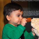 ANF_4113_jpg-1361895372