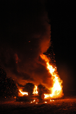 DSC_3939.JPG