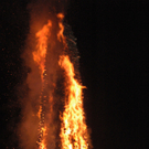 DSC_3951.JPG