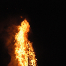 DSC_3956.JPG