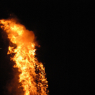 DSC_3965.JPG