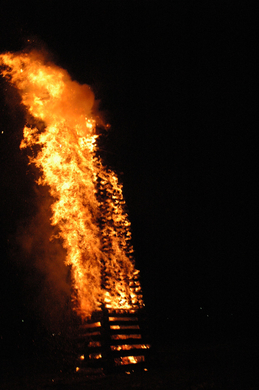 DSC_3965.JPG