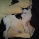 IMG_20121226_010620.jpg