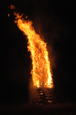 DSC_3977.JPG