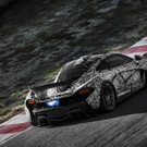 mclaren_p1_castelloli_dec2012028edit2.jpg