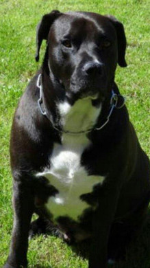 1361278044937_jpg-1361995634