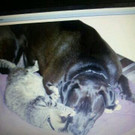 1361278045087_jpg-1361995634