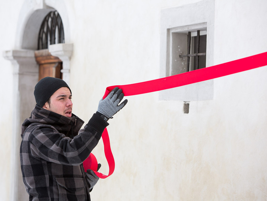 Blenke23Walser_jpg-1361998851