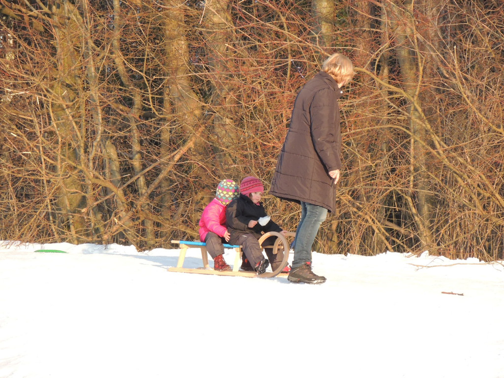 DSCN2653_JPG-1362003534