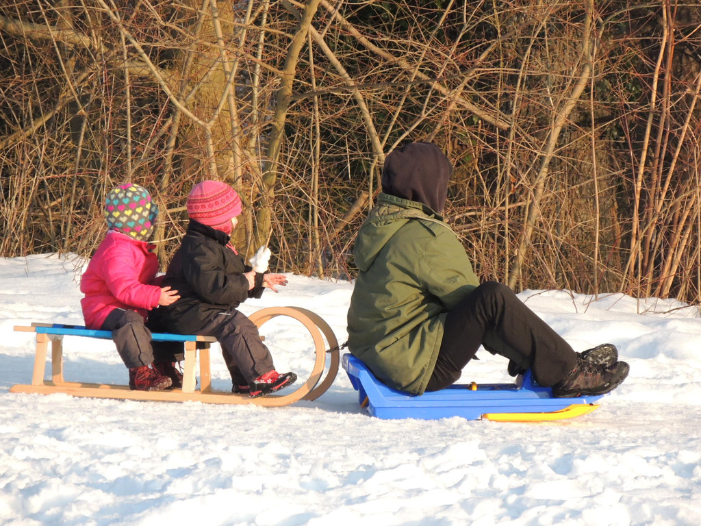 DSCN2655_JPG-1362003539