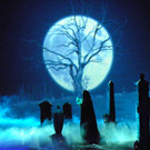 113_5681_JPG-1362004108