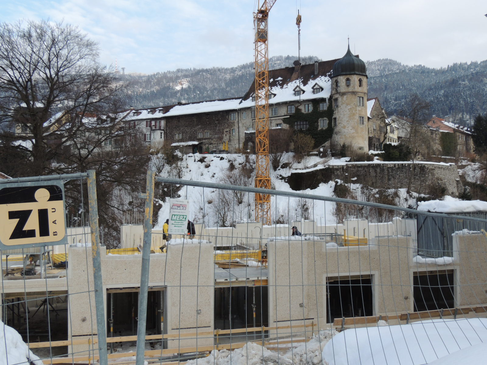 DSCN2931_JPG-1362008131