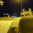 Rund ums Ruhholz 