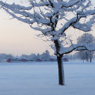 12_DEZ_2012_15_jpg-1362042546