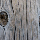 DSC09882 _Large__JPG-1362088197