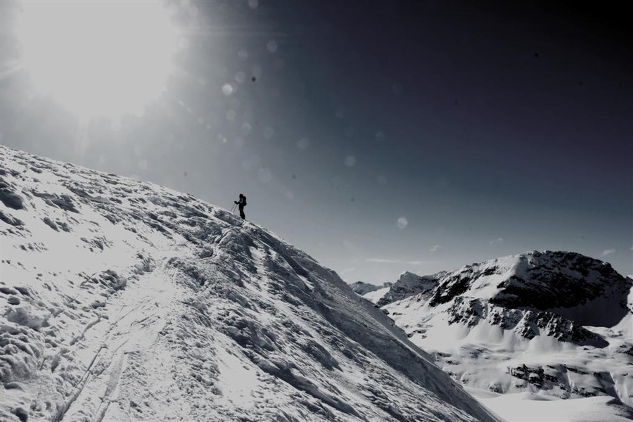 DSC09901 _Large__JPG-1362088318