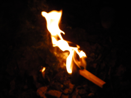 100_4312.jpg