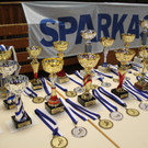 Schiverein VM Siegerehrung 2013 _4__jpg-1362154066
