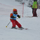 Schiverein VM Speedrennen Mellau 25-02-2013 _3__jpg-1362154164