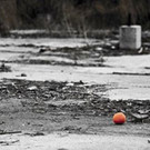 Wieser orange_jpg-1362169501