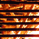 100_4450.jpg
