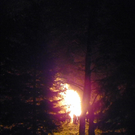 100_4378.jpg