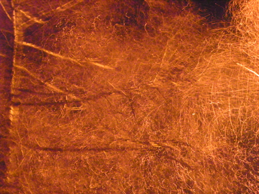 100_4397.jpg
