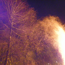 100_4399.jpg