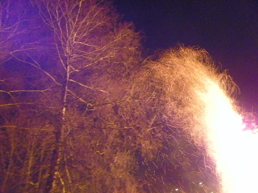 100_4399.jpg