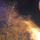 100_4400.jpg