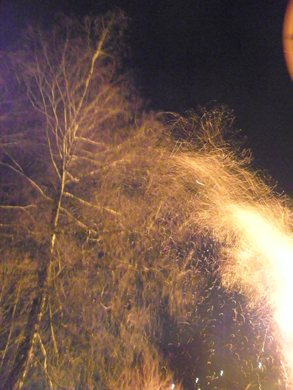 100_4400.jpg