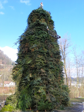 100_3728.jpg