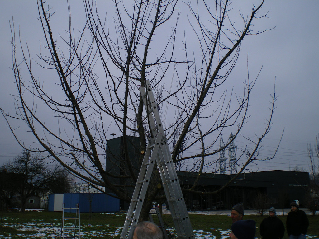 IMGP1764.JPG