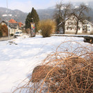 IMG_5497.JPG
