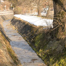 IMG_5498.JPG