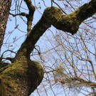 IMG_5500.JPG