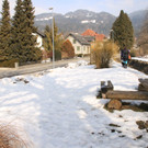 IMG_5508.JPG