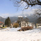 IMG_5510.JPG