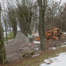 Rodungen im Bereich des Militärübungsgeländes im Schwarzbad