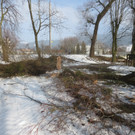 Baumrodungen im Schwarzbad 2013 _8__jpg-1362296123