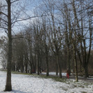 Baumrodungen im Schwarzbad 2013 _14__jpg-1362296158