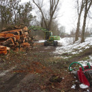 Baumrodungen im Schwarzbad 2013 _15__jpg-1362296164