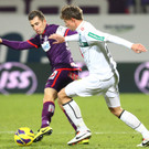 Austria Wien nicht zu stoppen: 4:0 gegen Wacker Innsbruck