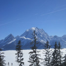 01032013hirschde01003aktivnews__16_.JPG
