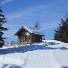 01032013hirschde01003aktivnews__3_.JPG