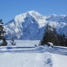 01032013hirschde01003aktivnews__4_.JPG