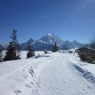 01032013hirschde01003aktivnews__9_.JPG