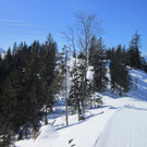 01032013hirschde01003aktivnews.JPG