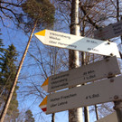 KOE_Winterwanderung Alpe Almein 2_jpg-1362325805