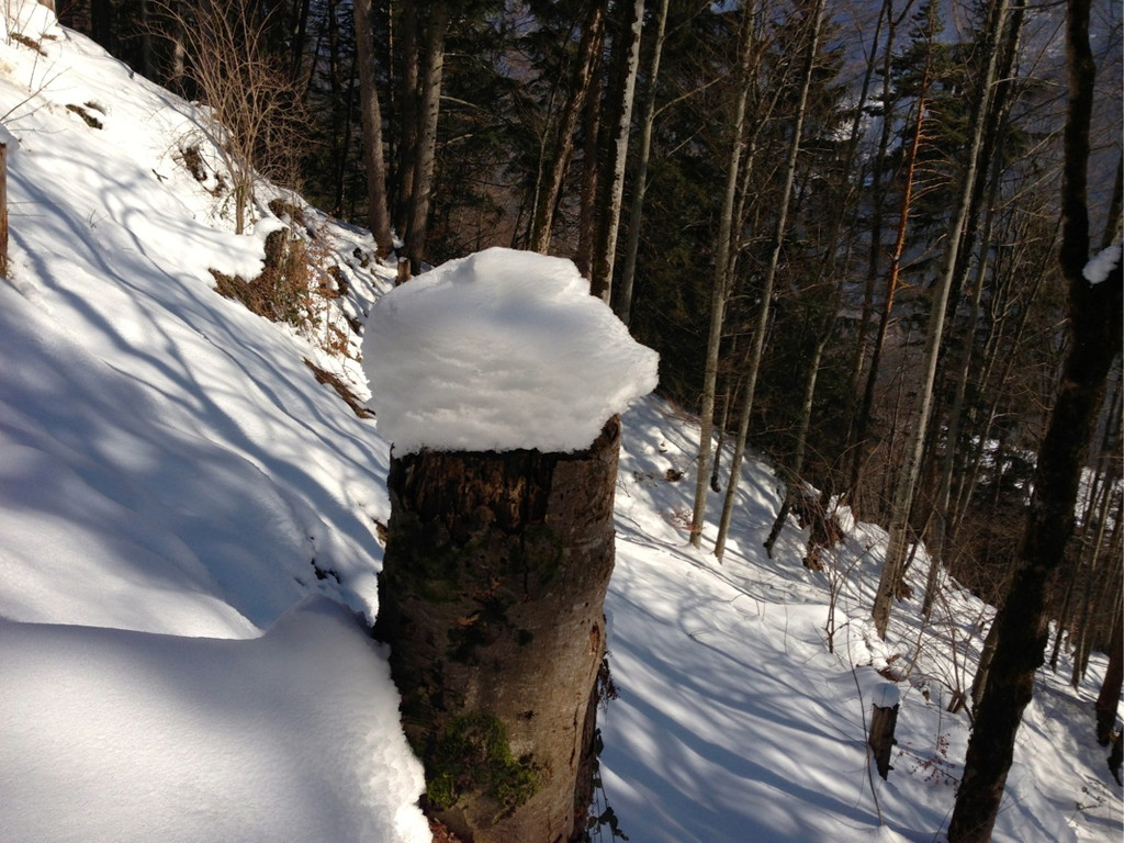 KOE_Winterwanderung Alpe Almein 4_jpg-1362325819